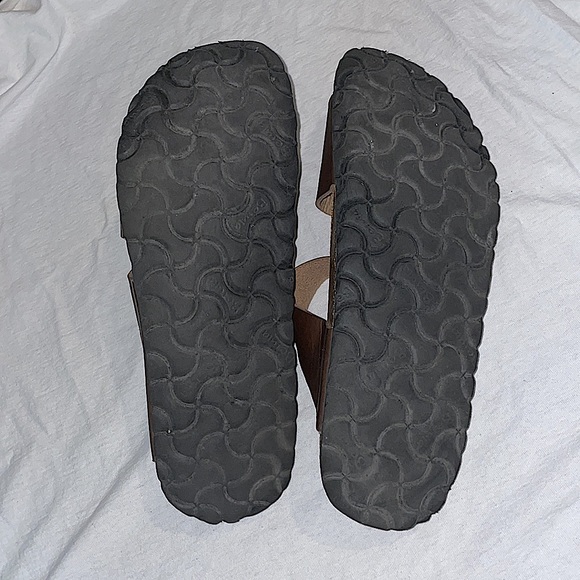 Betula - Picture 2 of 6